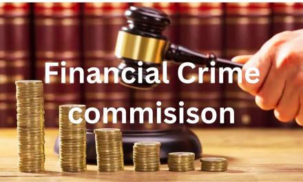 Financial Crime Commission: Pourquoi ce sont toujours les mêmes qui s’énervent !